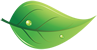GCI Green Leaf